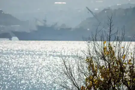 Усадьба Две Сестры - 28