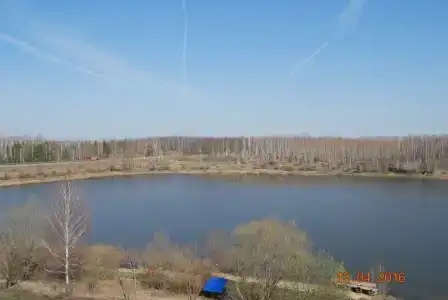 Деревня викингов - 13