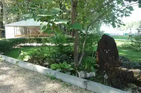 Дубрава - 18