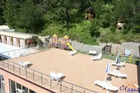 Чайка - 43
