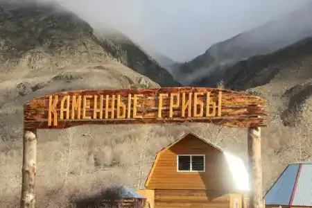 Каменные грибы - 10