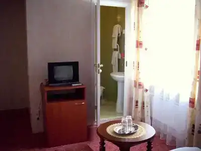 Алита - 10