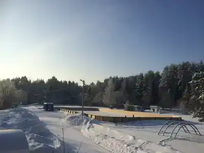 Колос - 50