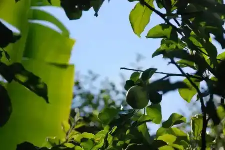 уют - 63