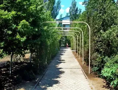 Шико 1 - 11