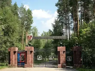 Мечта - 5