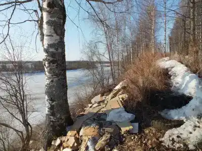 у Папы Карло - 19