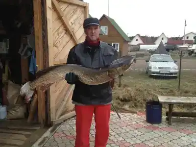 Мантиансаари - 64