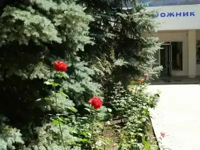 Пансионат Дорожник - 17