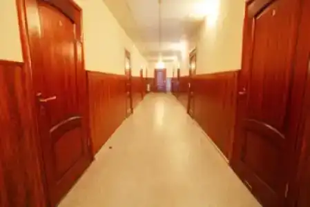 Лесовичок - 11