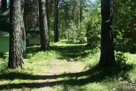 Катунь Парк - 12