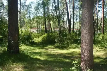 Катунь Парк - 13