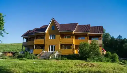 Луга Алтая - 0