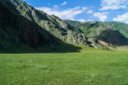 Луга Алтая - 10