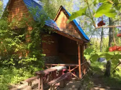 Русич - 2