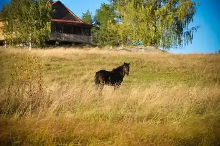 Микли-Ольгино - 26