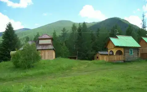 Кедровая опушка - 4