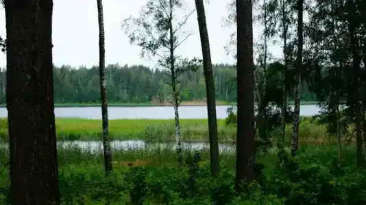Вуокса-вирта - 21