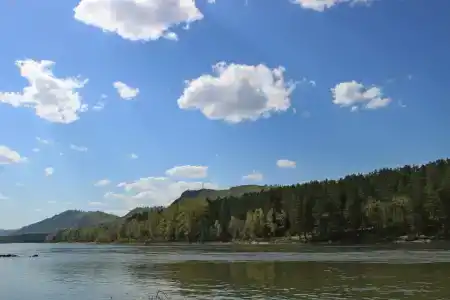 Авелия - 10