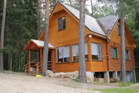 Гнездо - 1