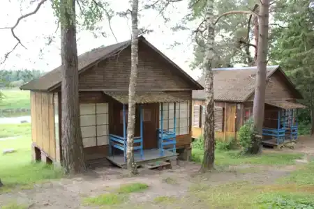 Гнездо - 4