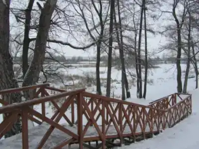 Галдым - 8