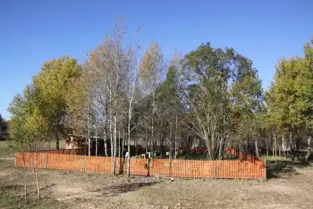 Королевская охота - 18