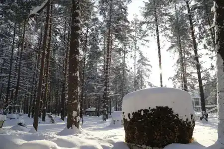 Усадьба Мещерская - 13