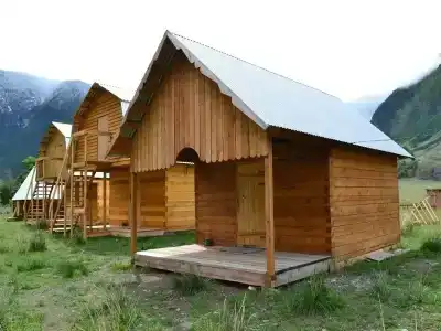 Каменные грибы - 0