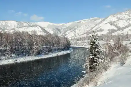 Альмон - 97