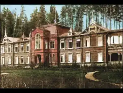 Лесное - 11
