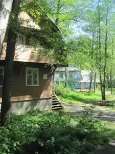 Спутник - 3