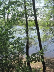 Спутник - 8