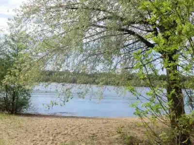 Дубовая Грива - 38