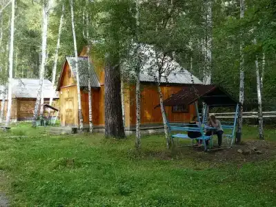 Чайка - 4