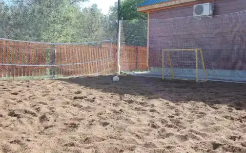 Сосны - 8