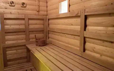 Сосны - 9