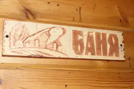 Сосны - 13