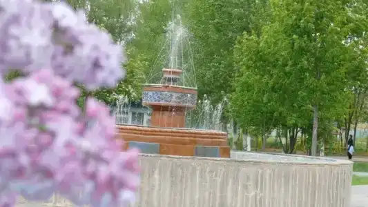 Светлана - 40
