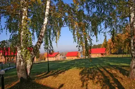 Кордон Донаурово - 3