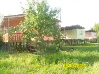 Жемчуг - 5