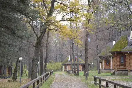 Серебряный век - 24