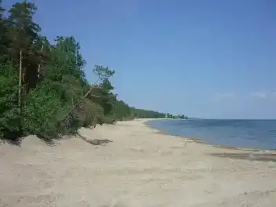 Нептун - 14