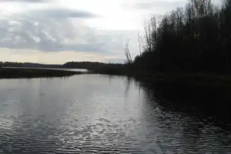 Раздобарино - 6