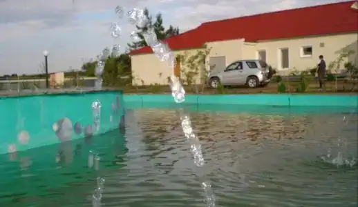 Донские просторы - 6
