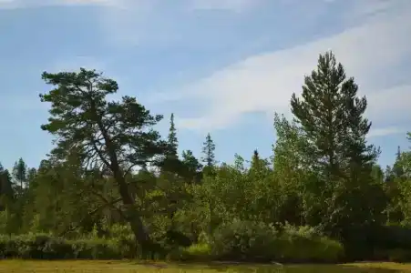 Тууликки - 9
