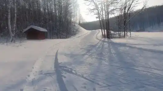 Форест Парк - 13