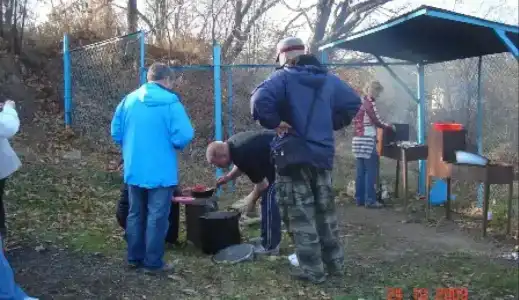 Дельфин - 12