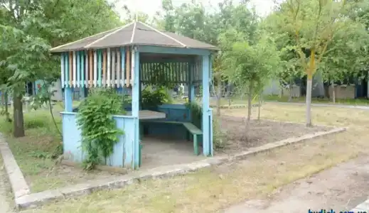 Дельфин - 15