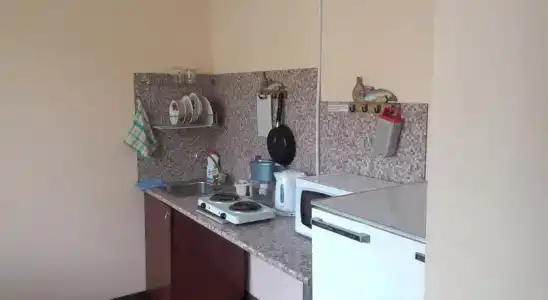 Спутник - 40